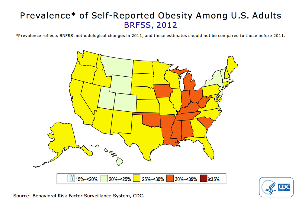 obesity report